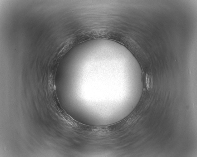 X0000060761107200512011506