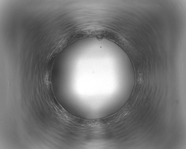 X0000060761108200512011506