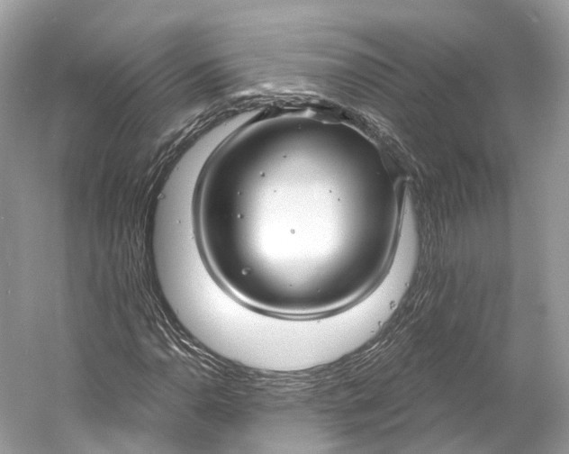 X0000060761110200512011506
