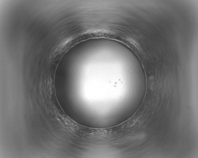X0000060761111200512011506