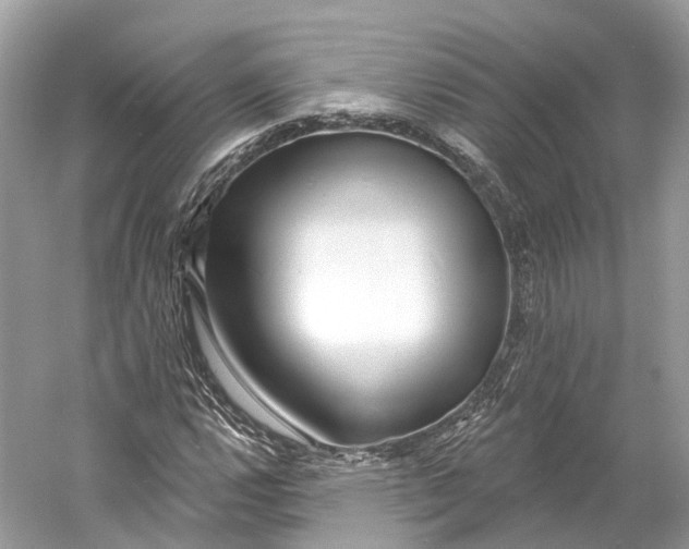 X0000060761112200512011506