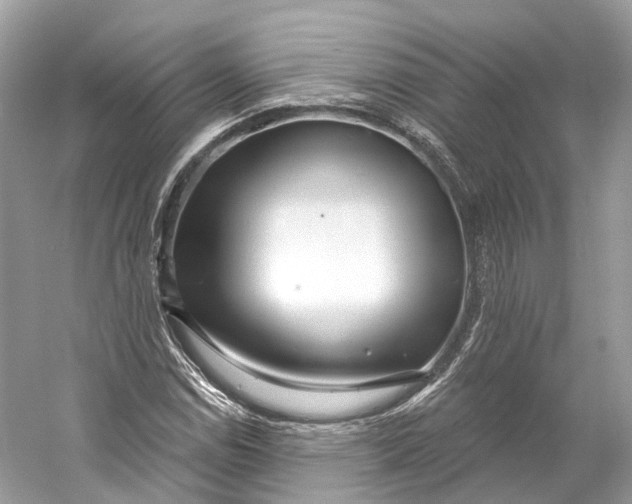 X0000060761114200512011506