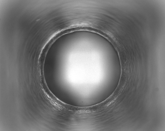 X0000060761118200512011506