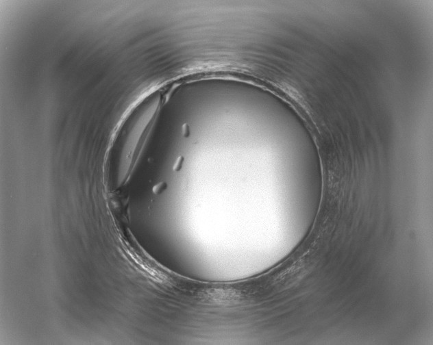 X0000060761119200512011506