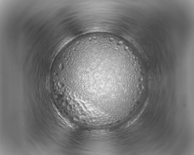 X0000060761121200512011506