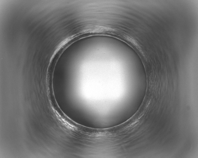 X0000060761122200512011506