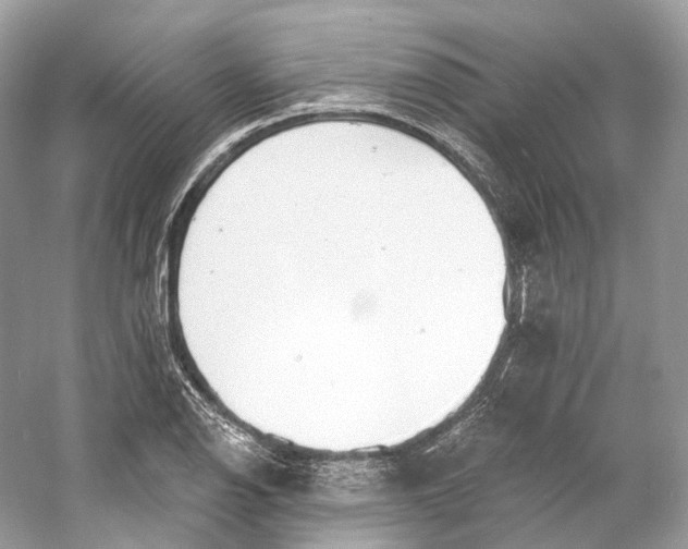 X0000060761126200512011506