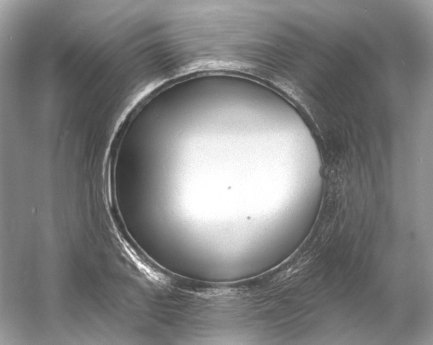 X0000060761127200512011506