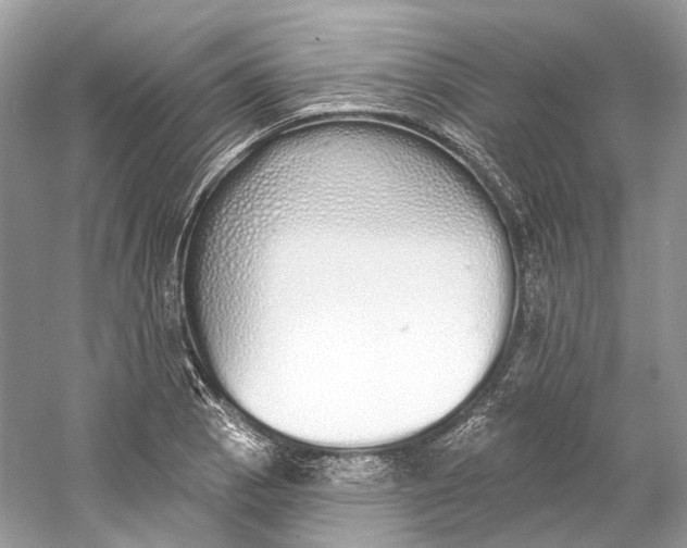 X0000060761129200512011506