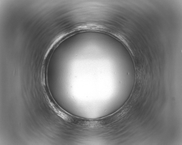 X0000060761131200512011506