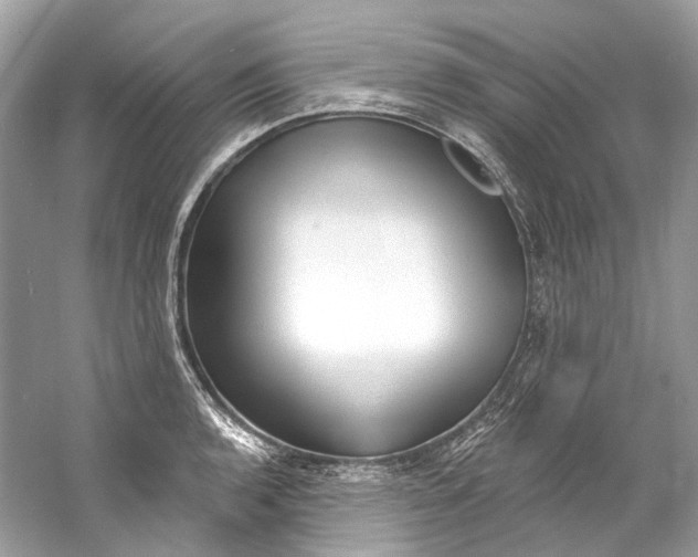 X0000060761136200512011506