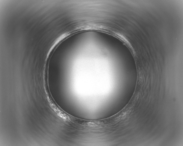 X0000060761138200512011507