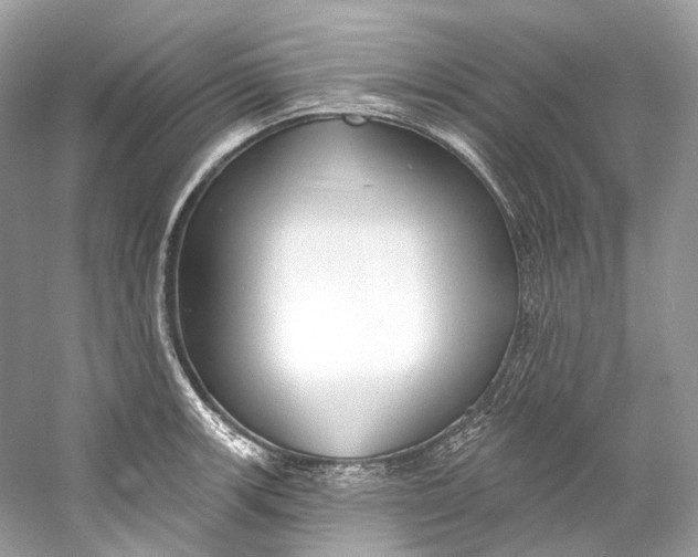 X0000060761139200512011507