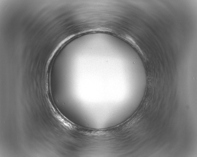 X0000060761140200512011507