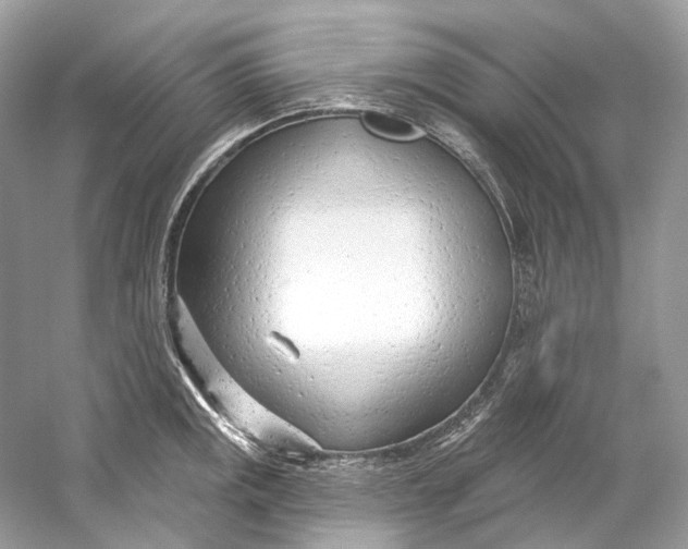 X0000060761141200512011507