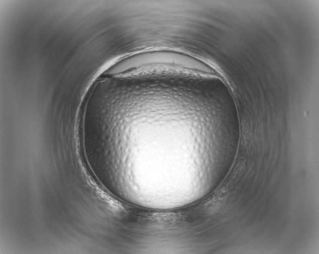 X0000060761142200512011507