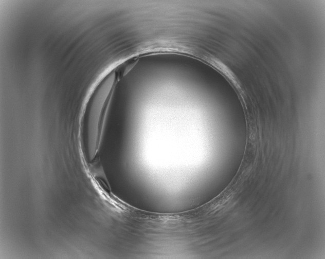 X0000060761144200512011507