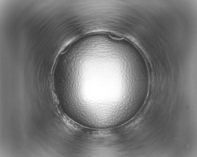 X0000060761145200512011507