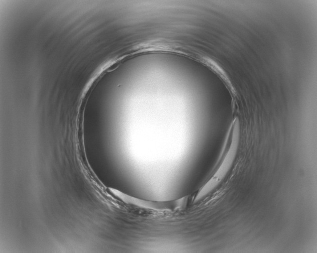 X0000060761146200512011507