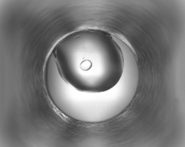 X0000060761148200512011507