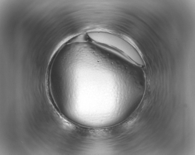 X0000060761149200512011507