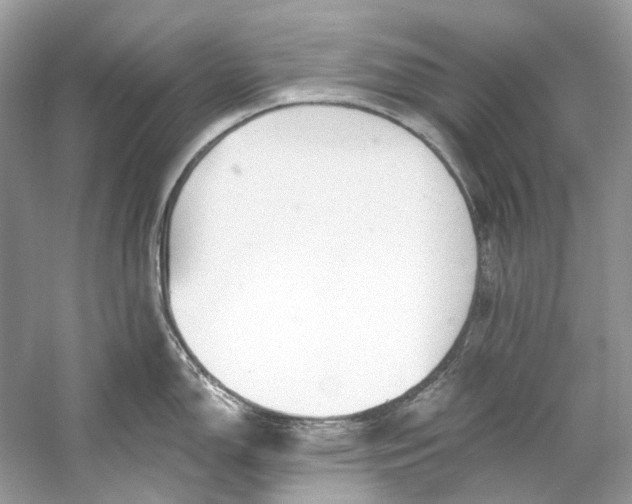 X0000060761150200512011507