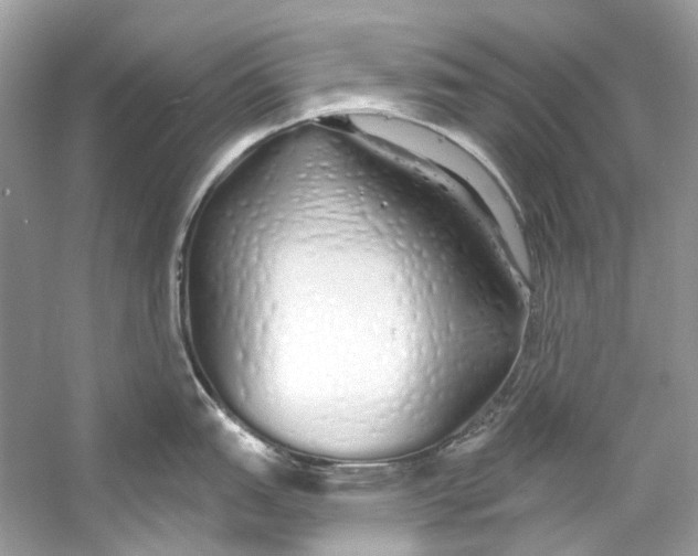 X0000060761151200512011507