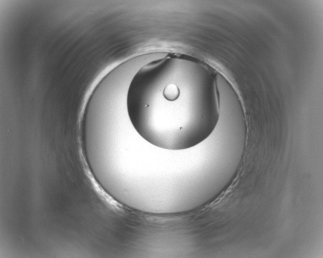 X0000060761152200512011507