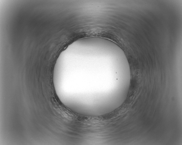 X0000060761153200512011506