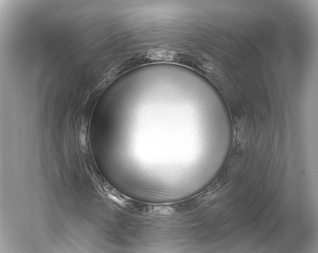 X0000060761154200512011506