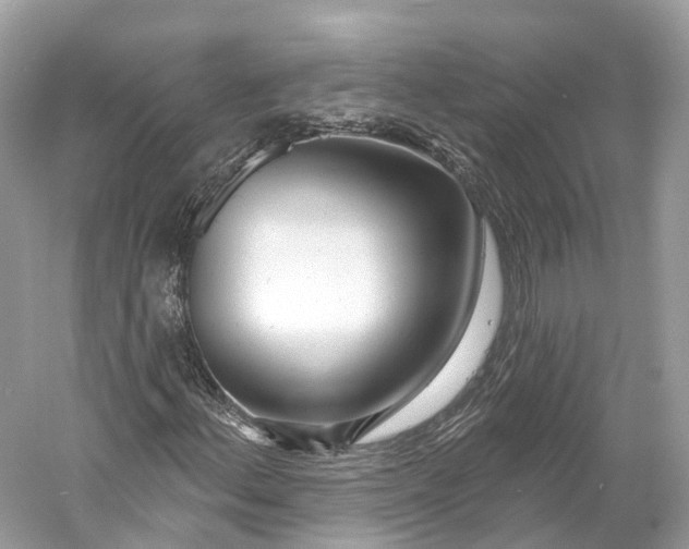 X0000060761156200512011506