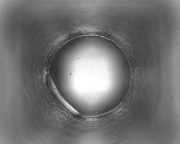 X0000060761157200512011506
