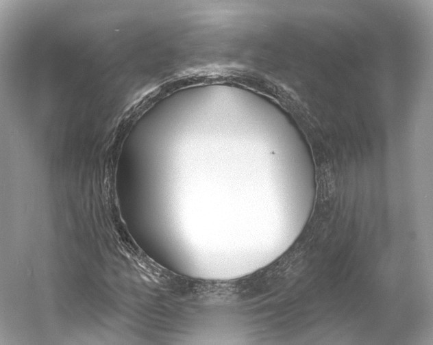X0000060761158200512011506