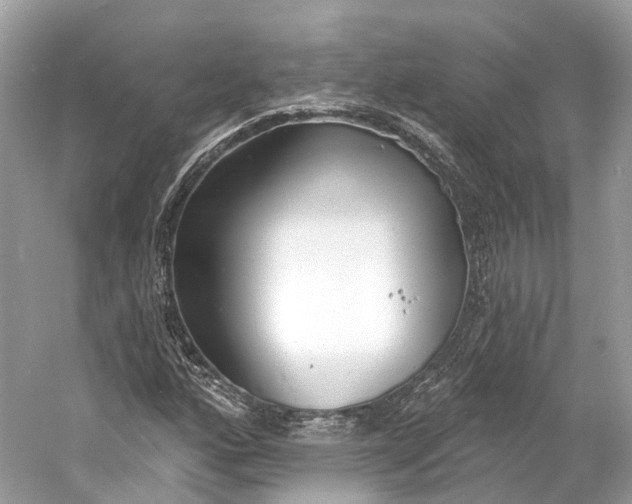X0000060761160200512011506