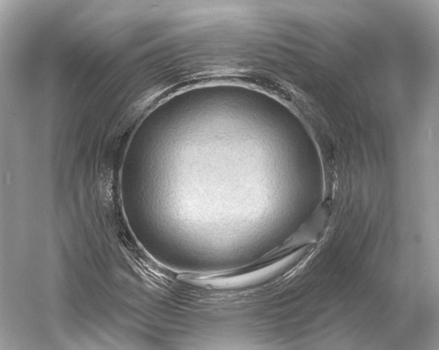 X0000060761161200512011506