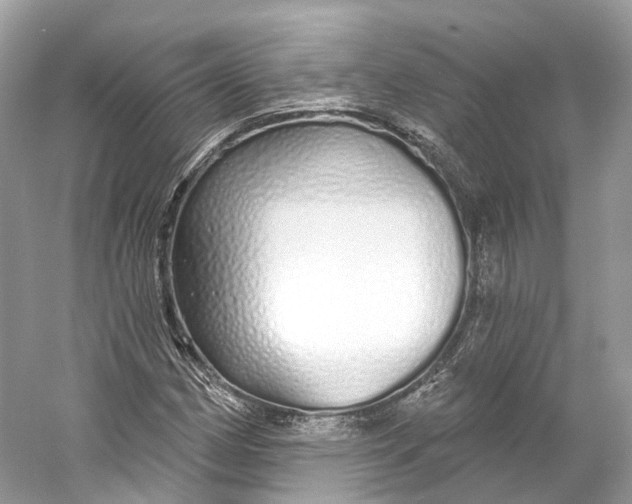 X0000060761162200512011506