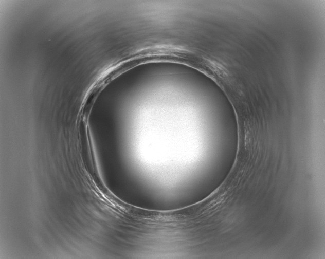 X0000060761164200512011506
