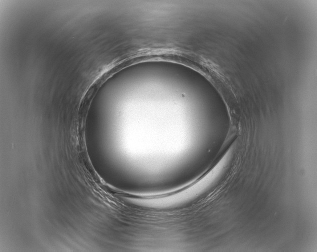 X0000060761165200512011506