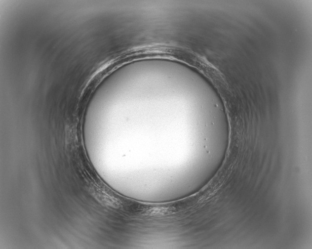 X0000060761166200512011506