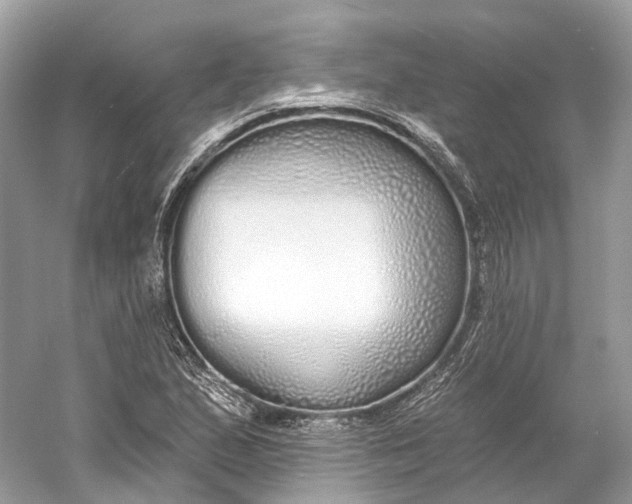 X0000060761167200512011506