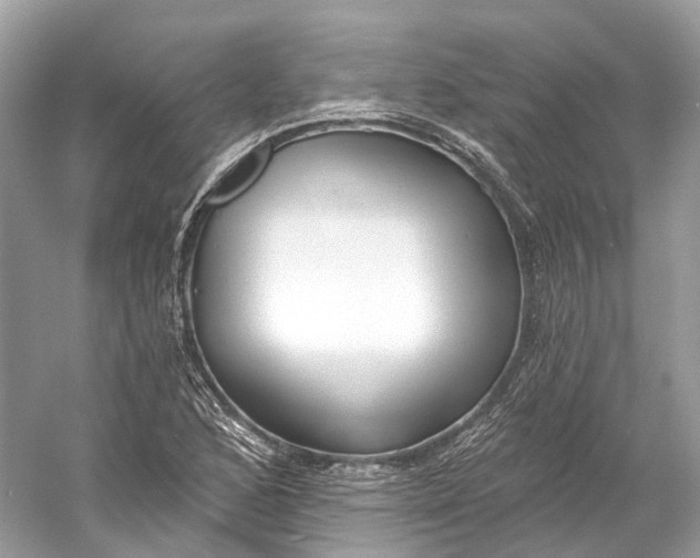 X0000060761168200512011506