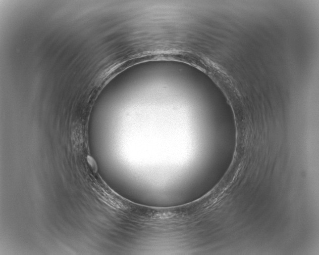 X0000060761169200512011506