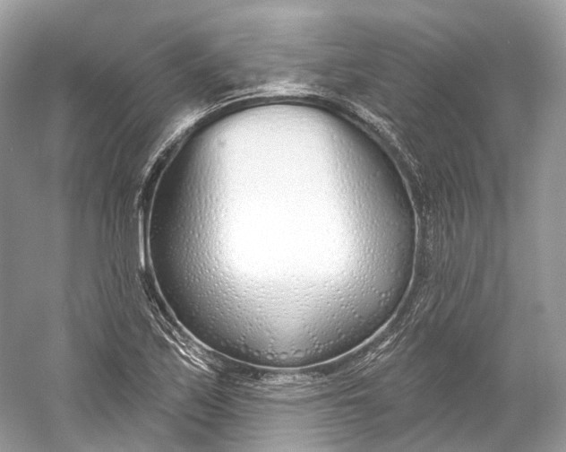 X0000060761171200512011506