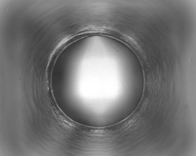 X0000060761172200512011506