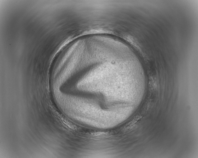 X0000060761173200512011506