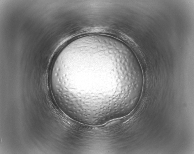 X0000060761174200512011506