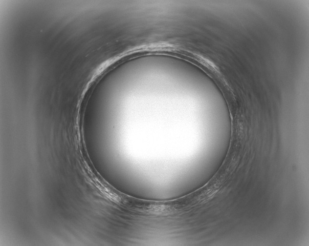 X0000060761176200512011506