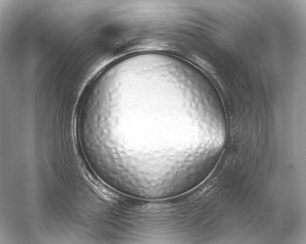 X0000060761179200512011505