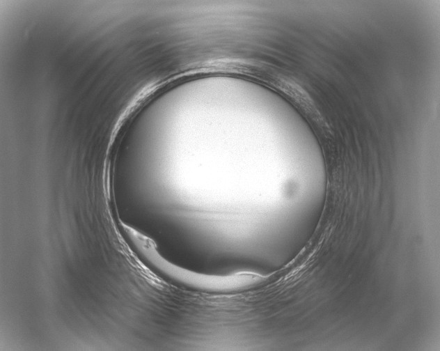 X0000060761180200512011505