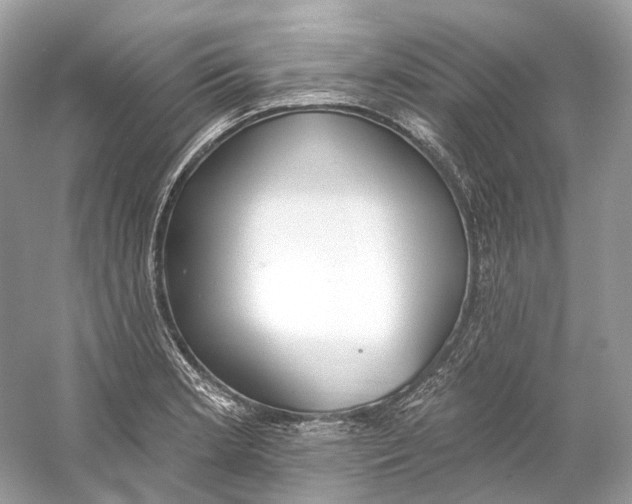 X0000060761181200512011505